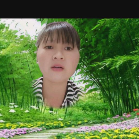 小燕子