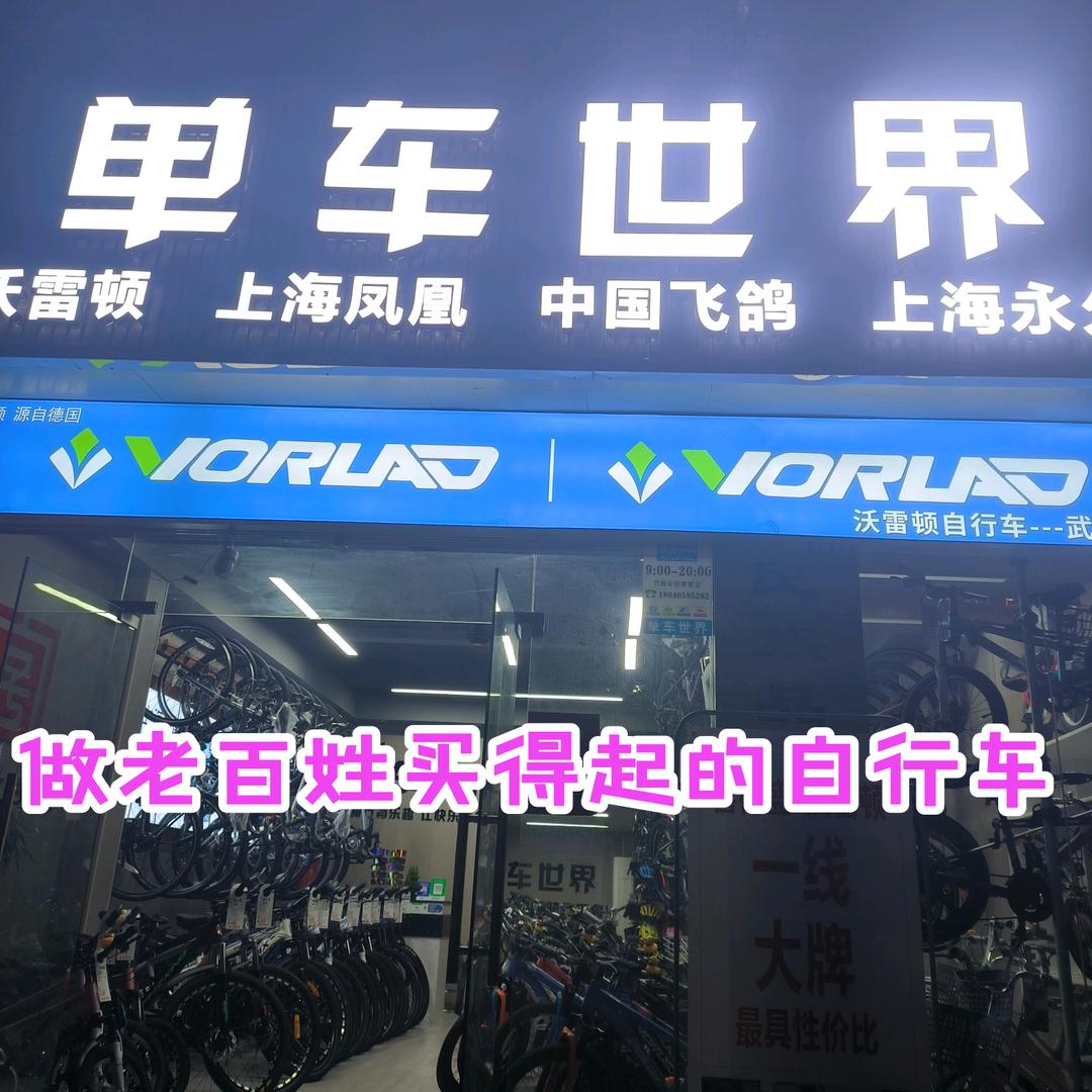 武汉单车世界（凤凰飞鸽永久沃雷顿）15年