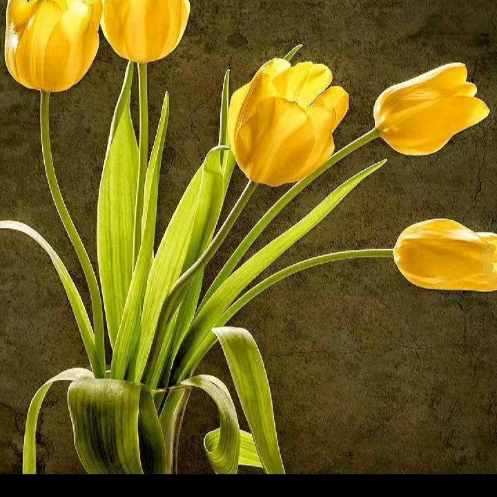 66年5月十四的马