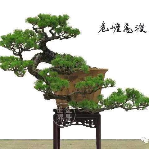 小畔园艺