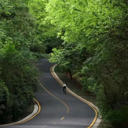 守 中  🪿  鹅替我朋友问一下