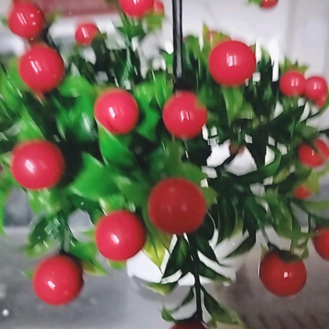 zxal