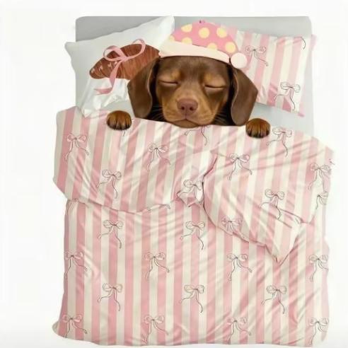 耶耶脆脆鲨🏝🏝🏝