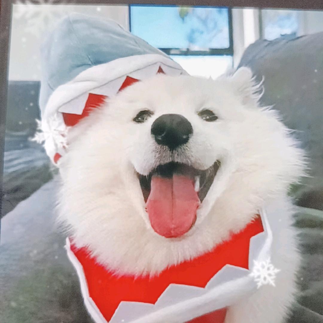 沐沐