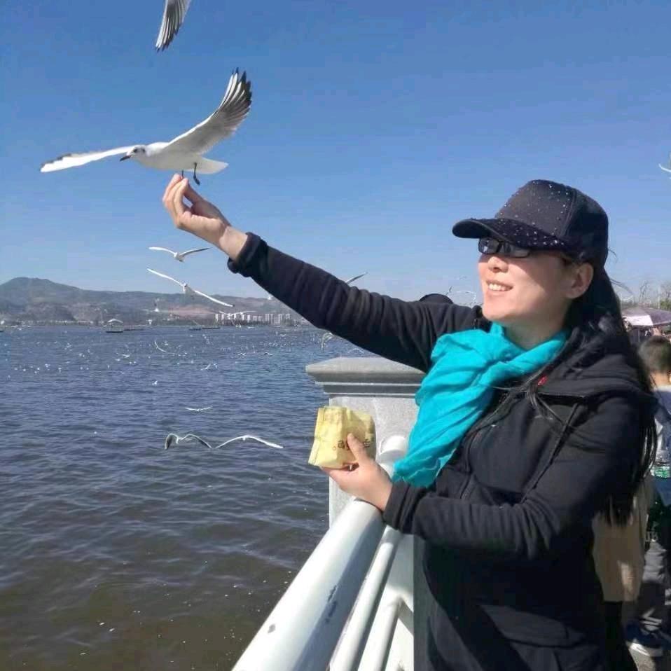 燕子姐