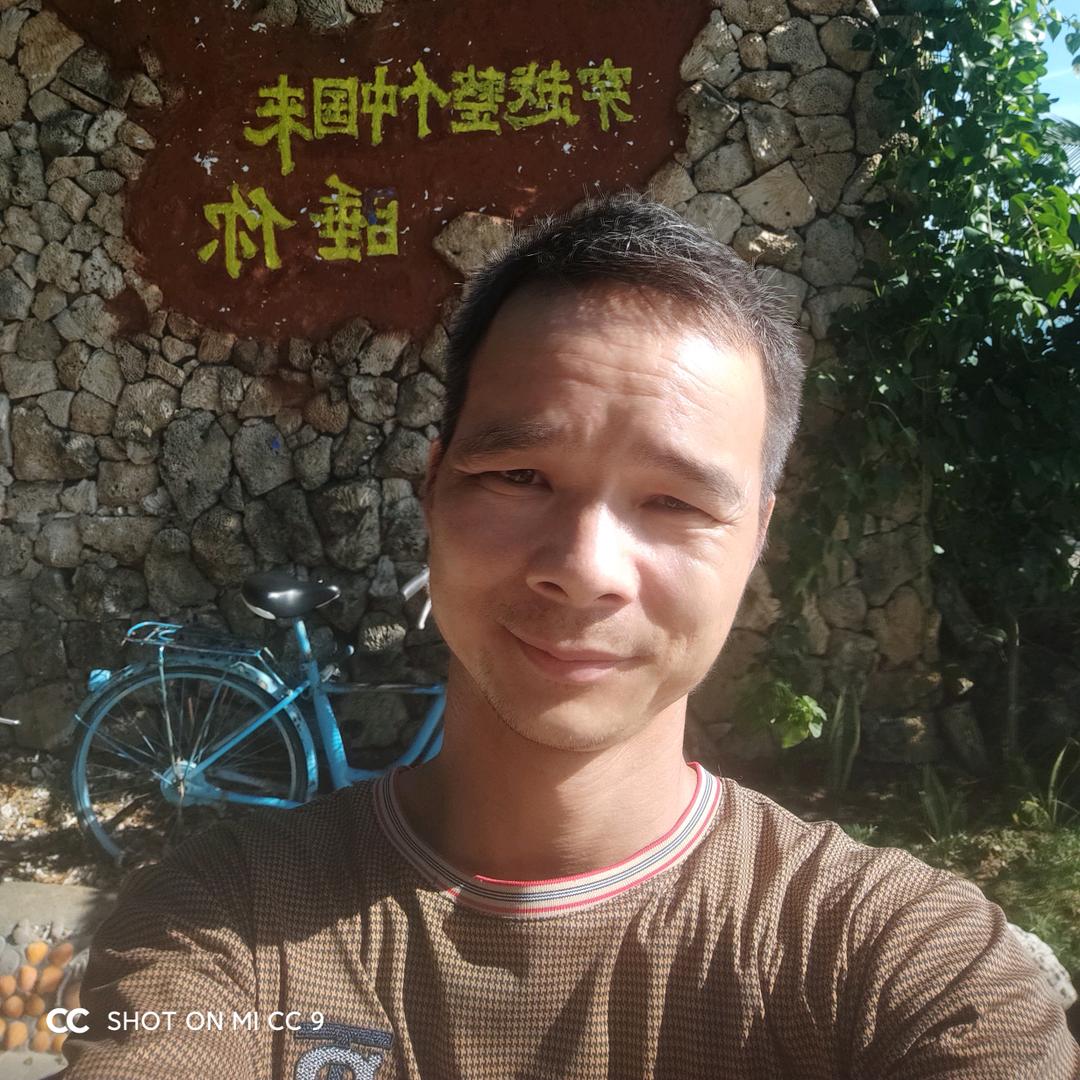 三哥贴砖