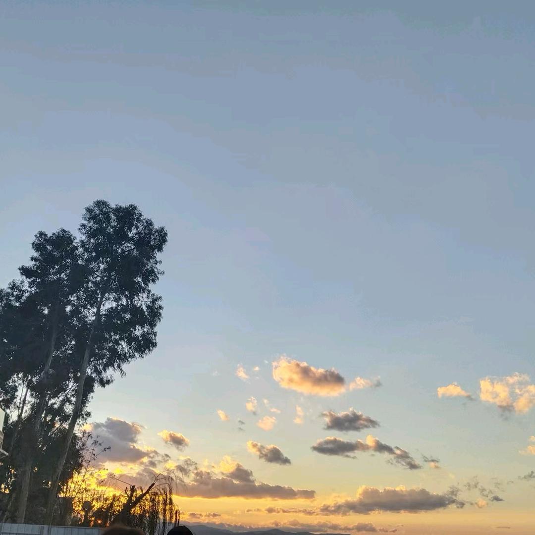 🍀☘小小🌺🌺的幸福(^o^)🦚?