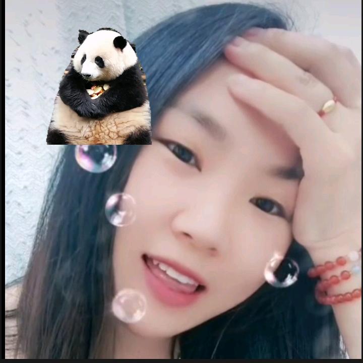 binbin熊猫园