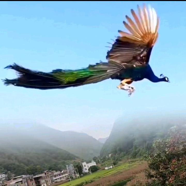 一米阳光