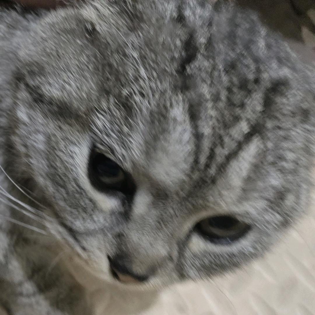 欧皇附体。