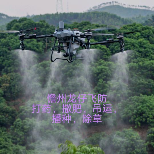 儋州龙仔飞防