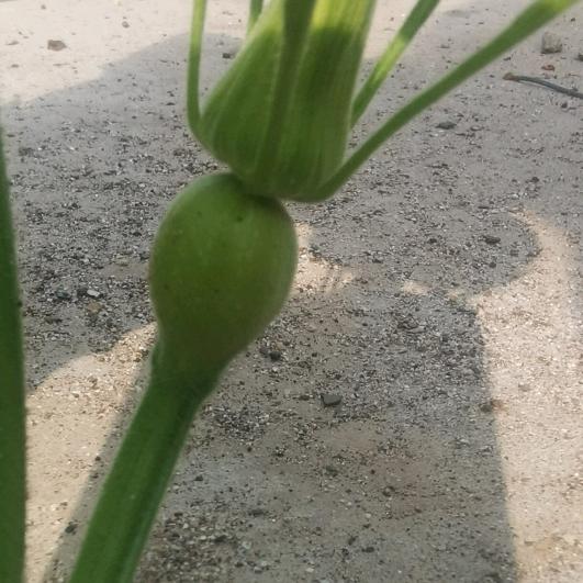 闯天涯
