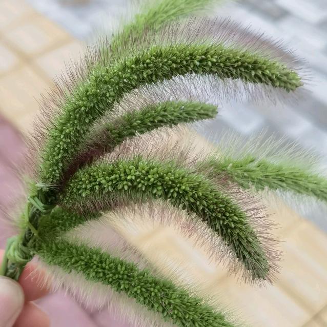 🌈🌈健康才能拥有一切