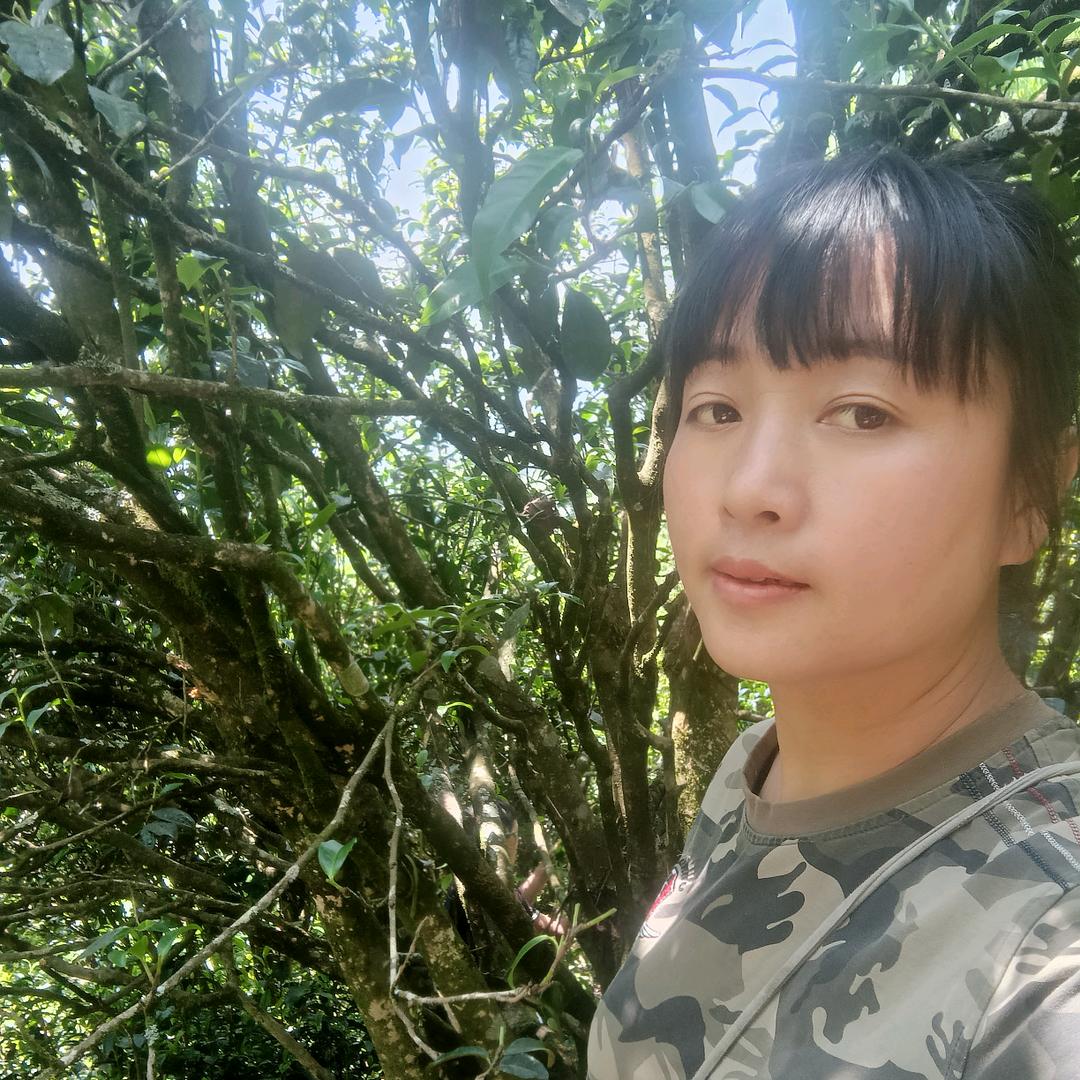 曼森茶叶:曾姐
