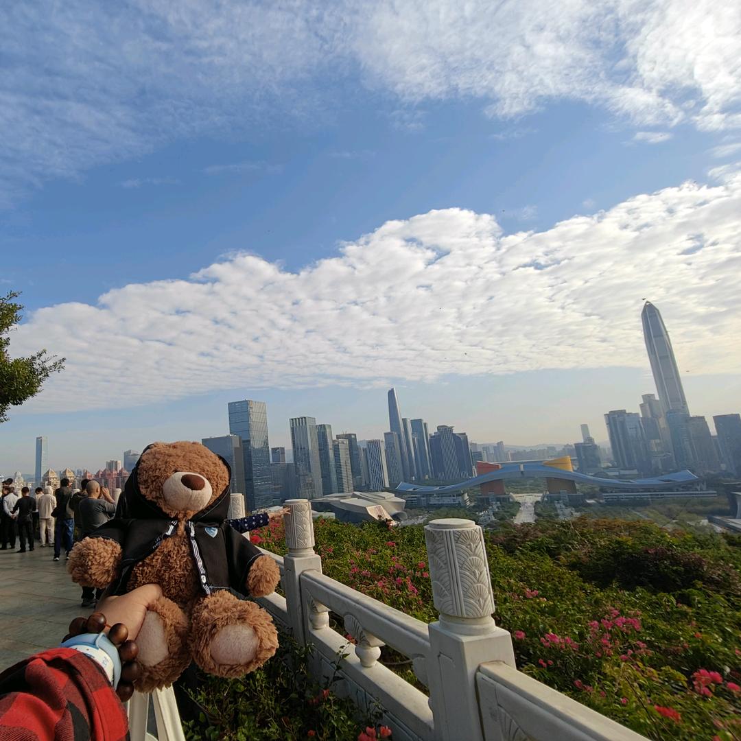 记得吃头孢(努力赚钱 看许巍巡演)