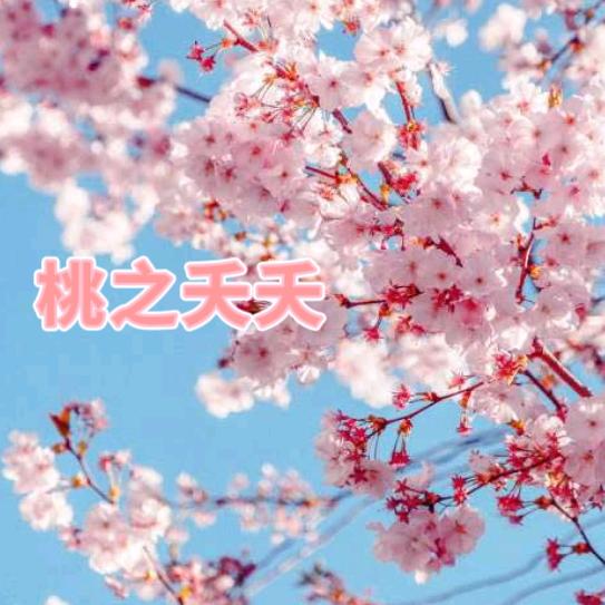天道•桃之夭夭🌸🐲