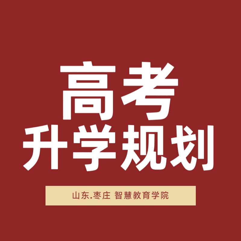 山东枣庄高考规划