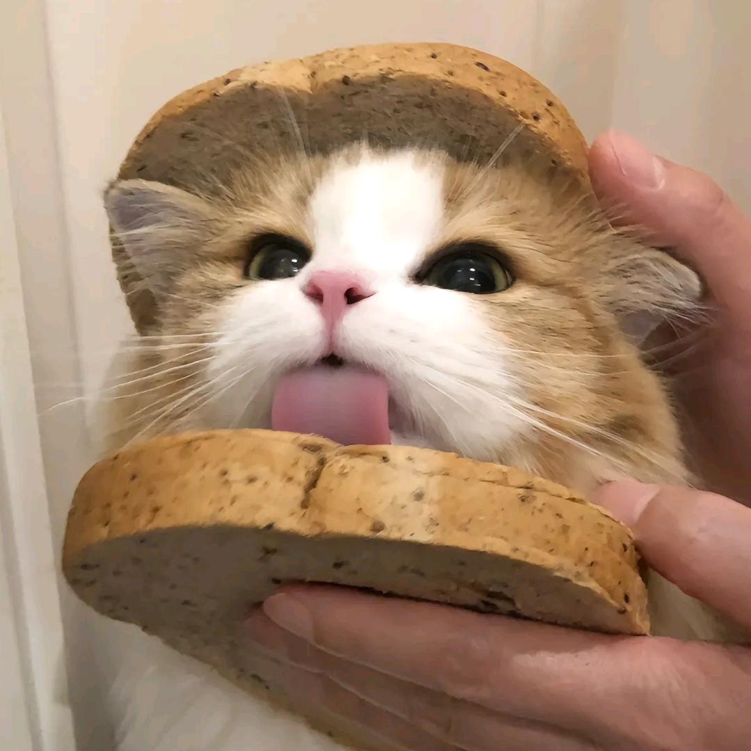 江怃然