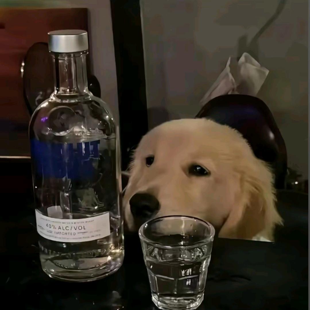 花辞树
