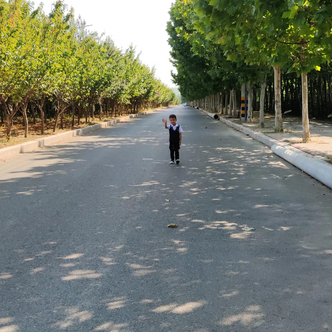 小葱生活