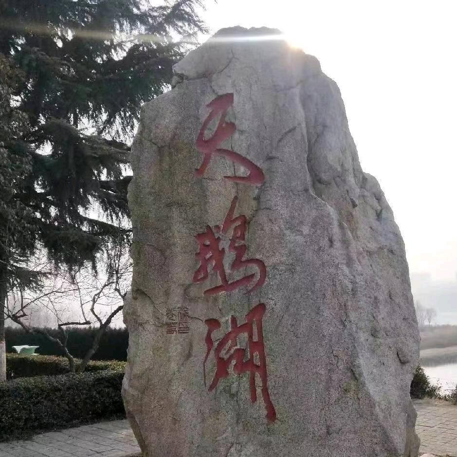 天鹅湖