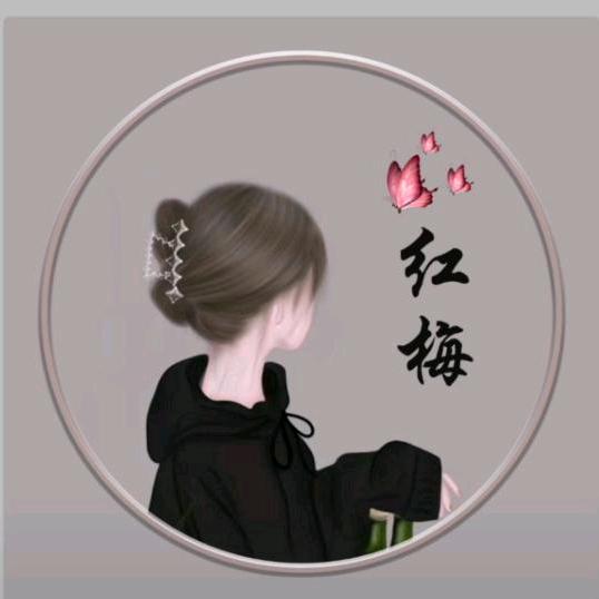 红梅💞