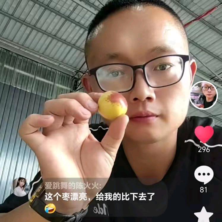 山西阿乐冬枣