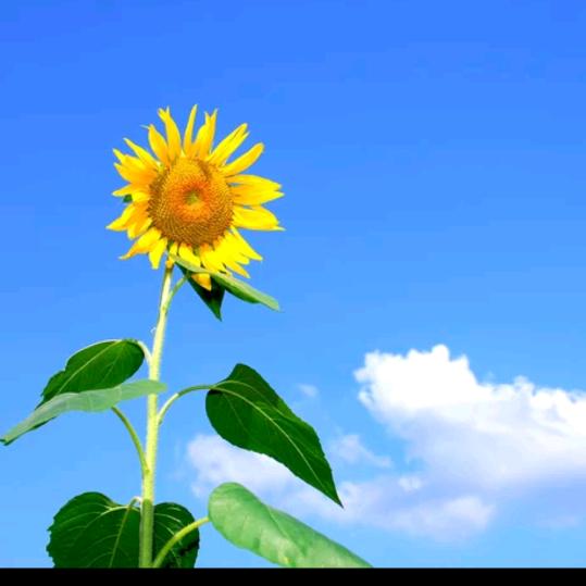炫~慧