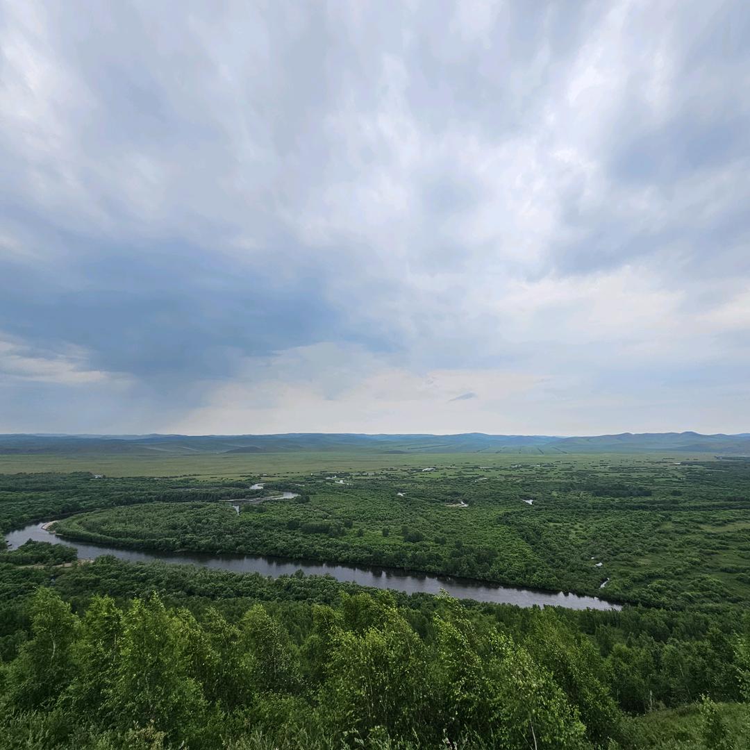 宠物直播运营🔥啊凡凡