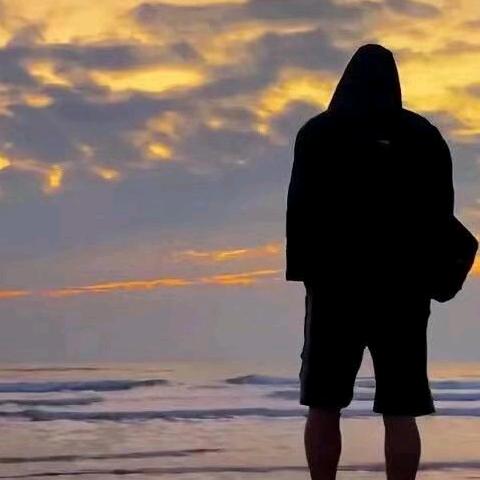 似是而非的真实