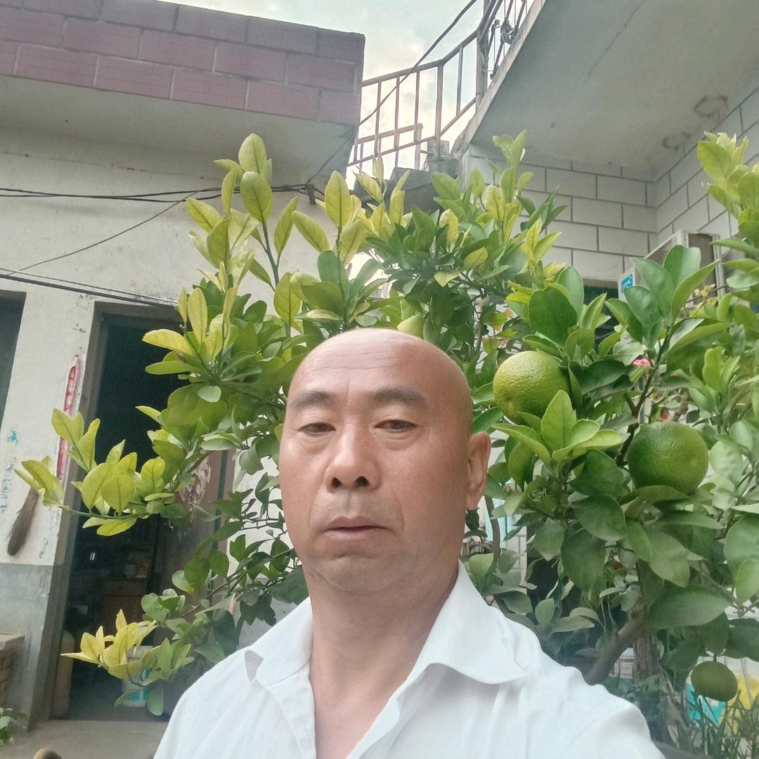 做人凭良心