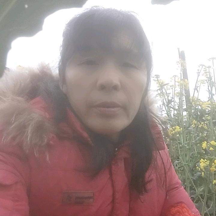 三月桃花