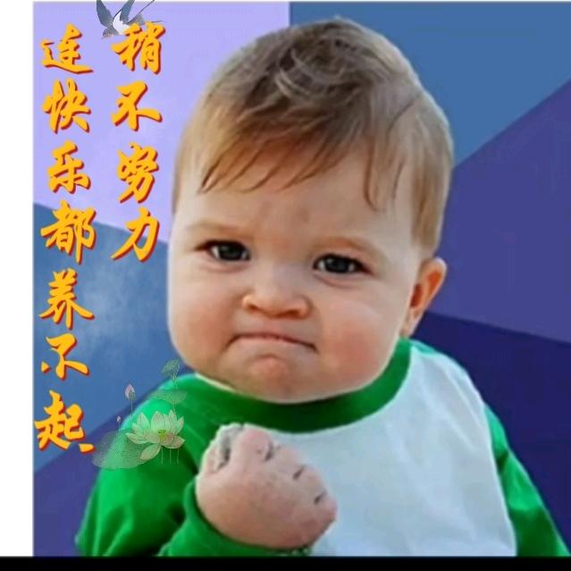 全网新玩法（百变直播背景搭建）