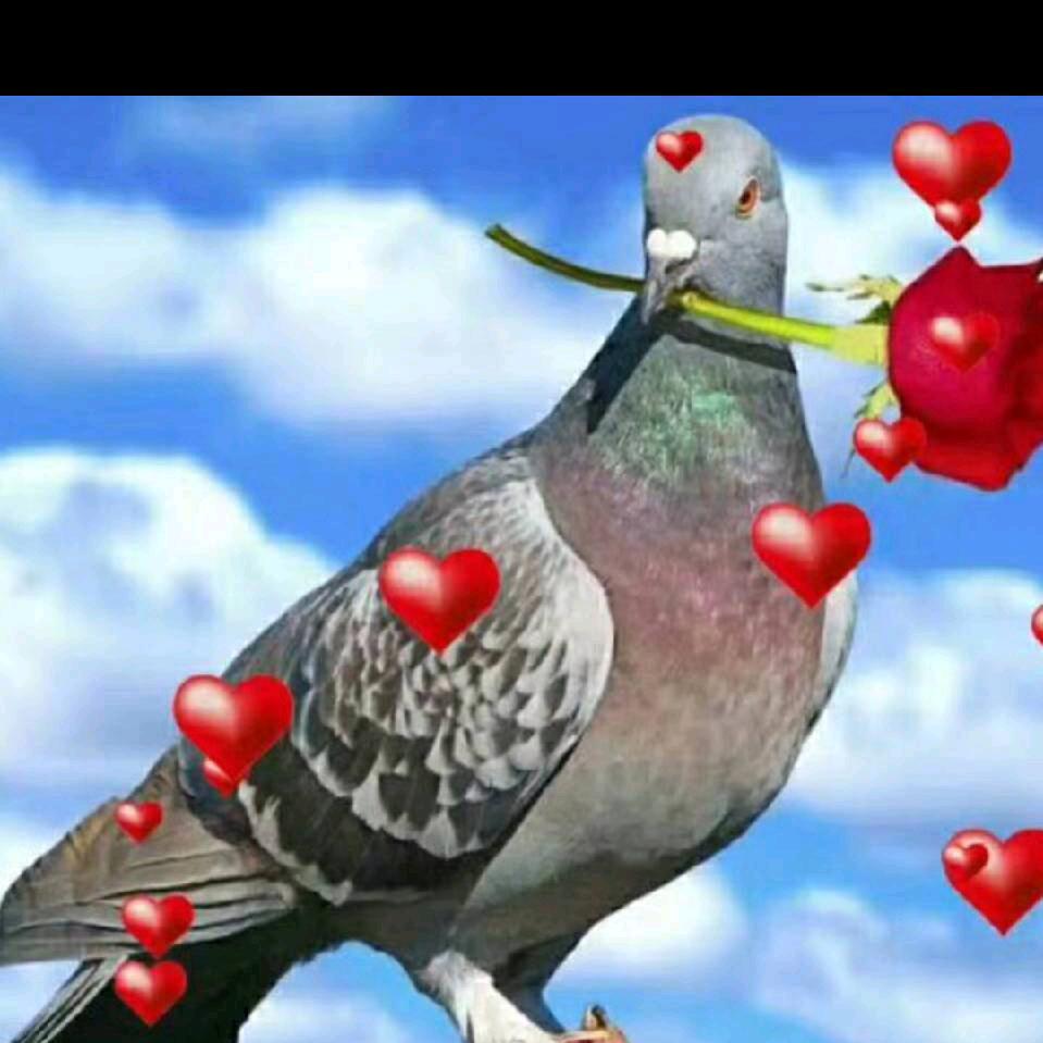 💋😂火心  😂♥