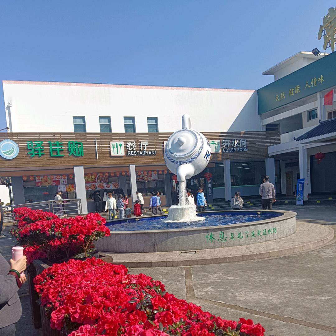 从  头  再  来