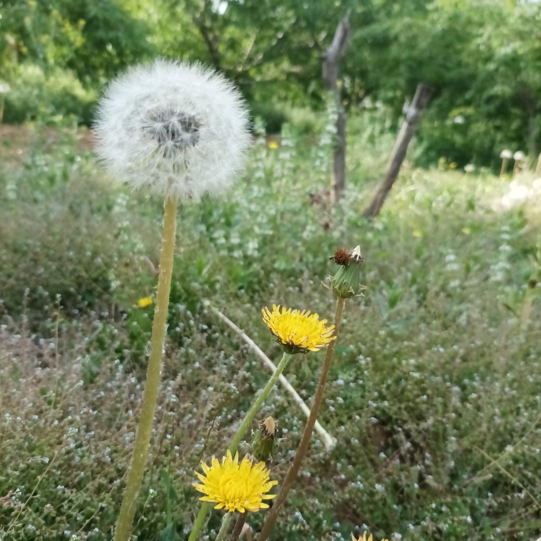 ★北城北★种养生态农场