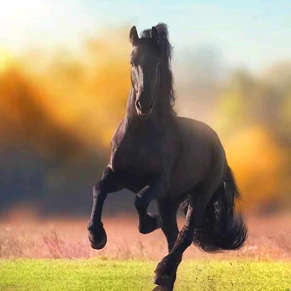 骐骥一跃（苏）