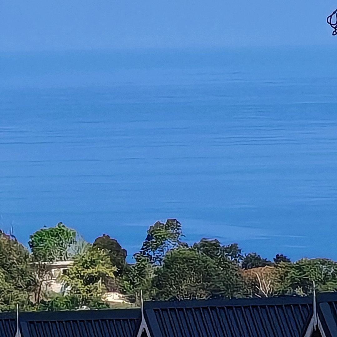 鸿图鹏志