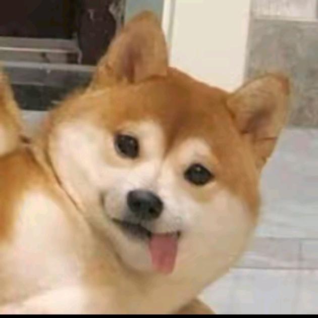 12312