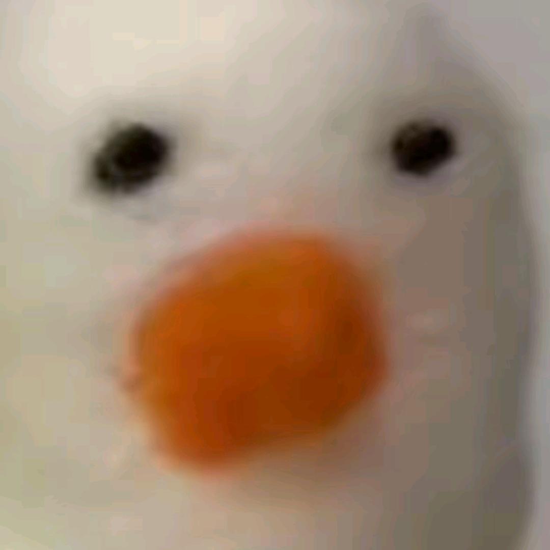旎旎耳语