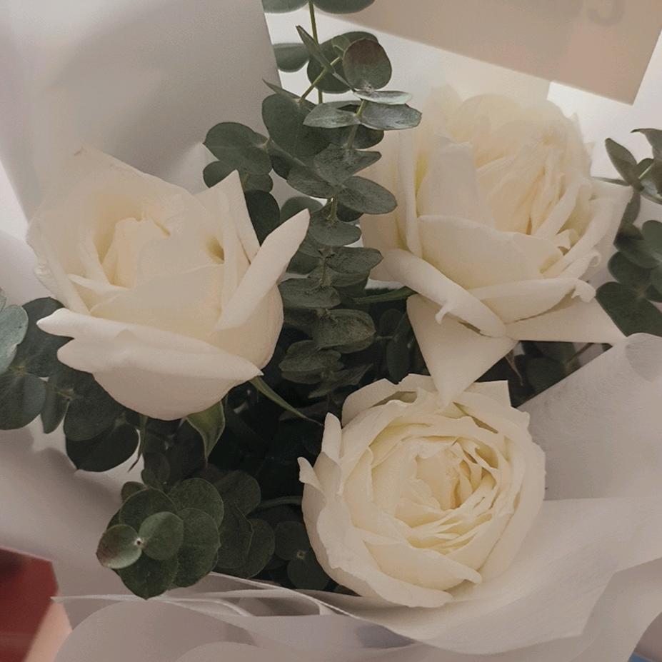 💍小吴杂货铺🔔