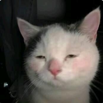 小遇