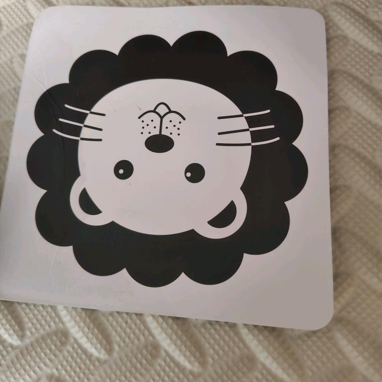 小龙宝贝