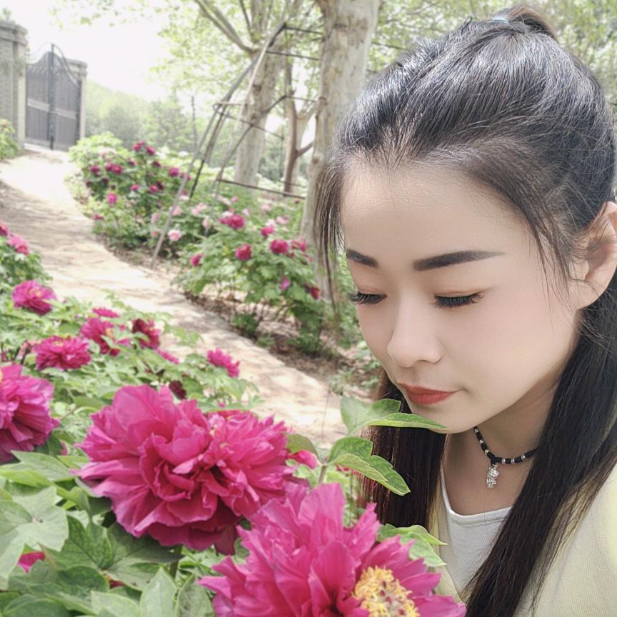 时光不老