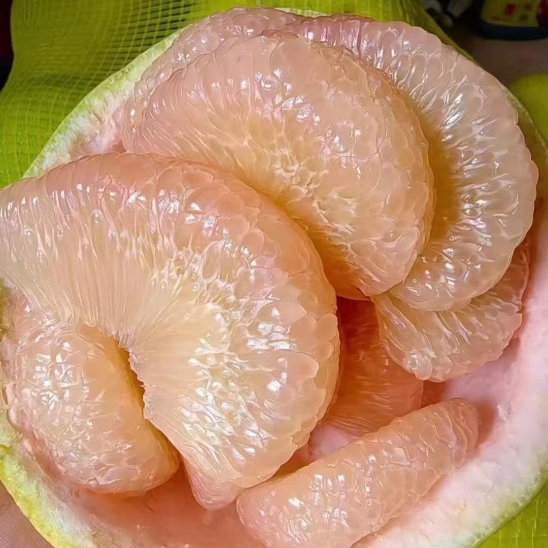 正宗度尾文旦柚