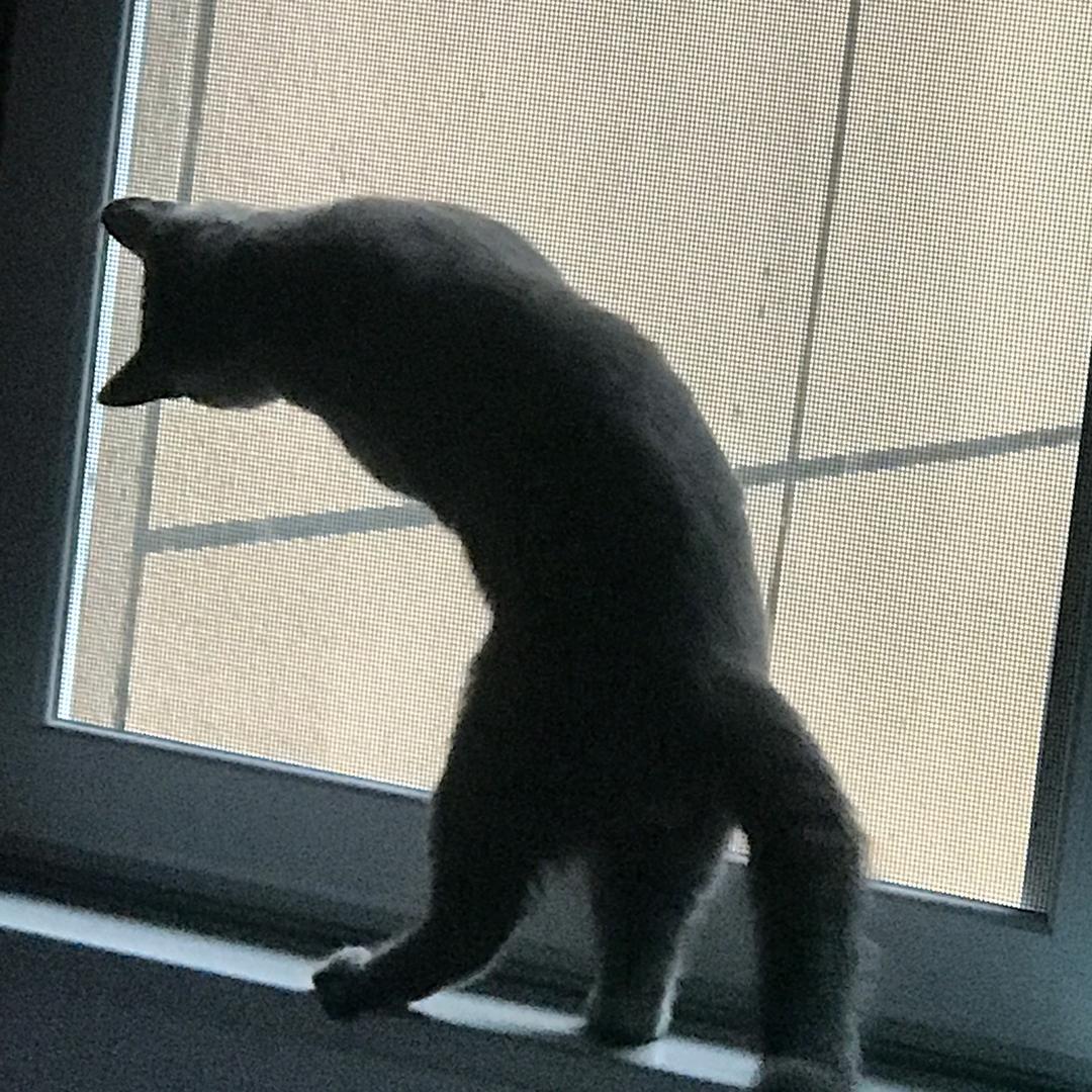 半斤
