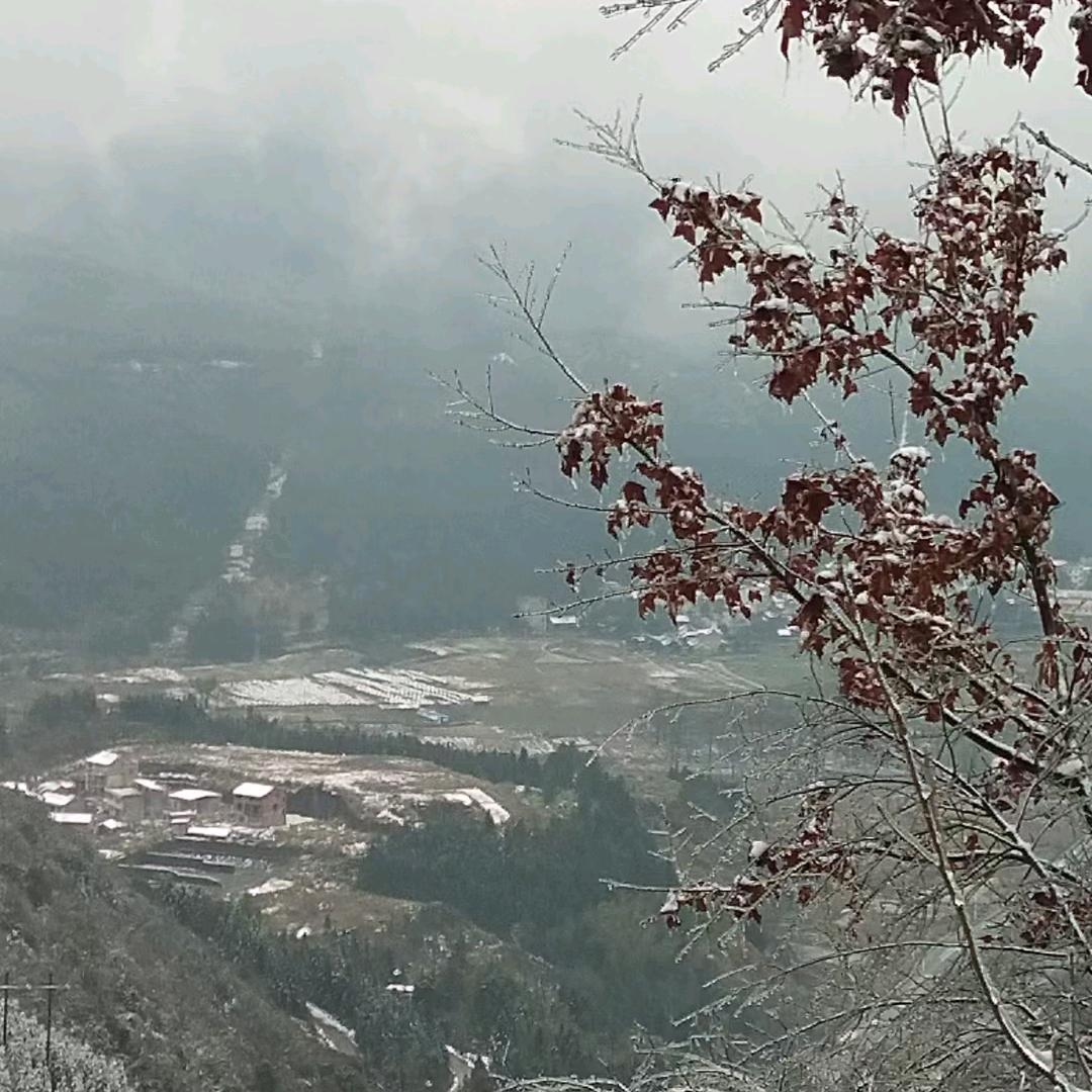 曾经真心爱过你