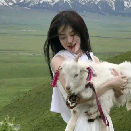 周周环游世界