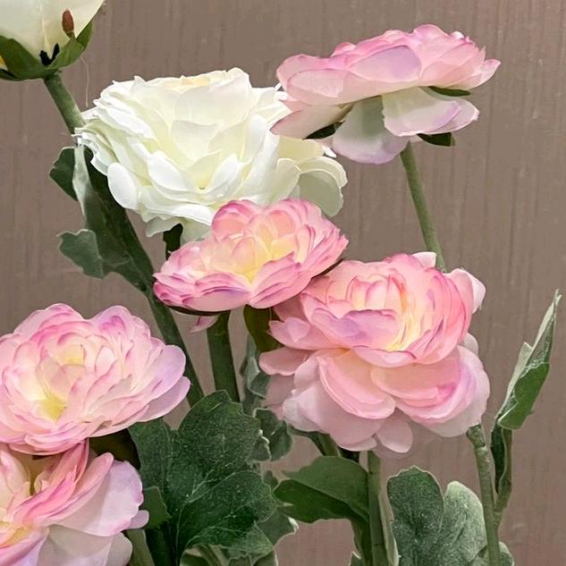 用户7010299009632佳佳