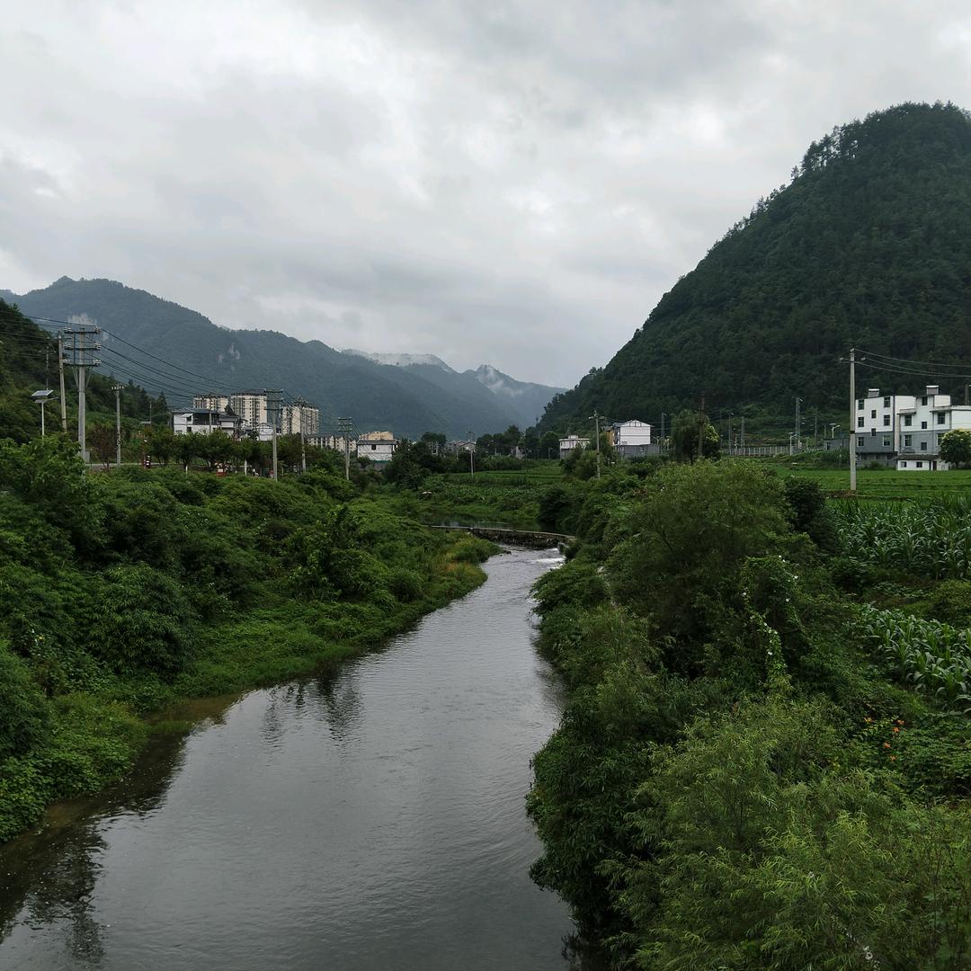 颤心的句子